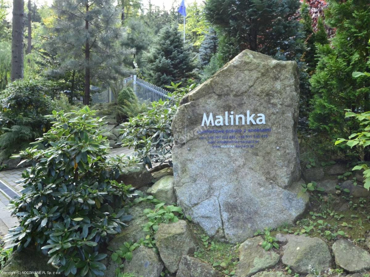 Villa Malinka カルパッチ エクステリア 写真